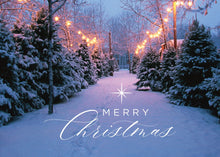 Load image into Gallery viewer, Merry Christmas (2025), pack of 15 Christmas cards
